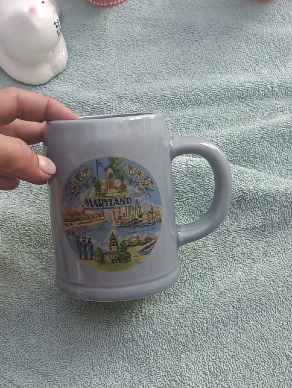 Maryland Scenic Blue Ceramic Mug - Unbranded